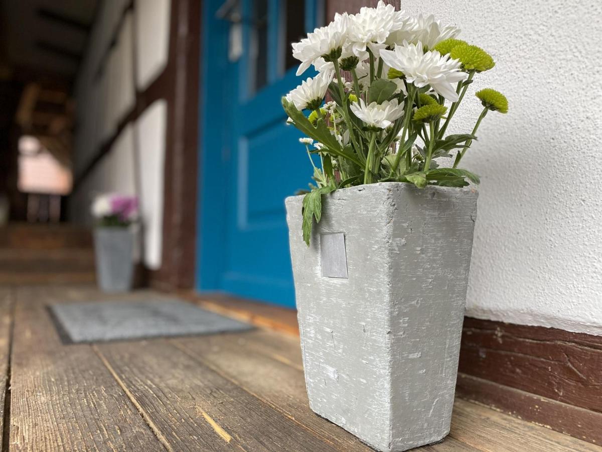 Traumhaft Wohnen Im Haus Blum Apartment Herbolzheim Exterior photo