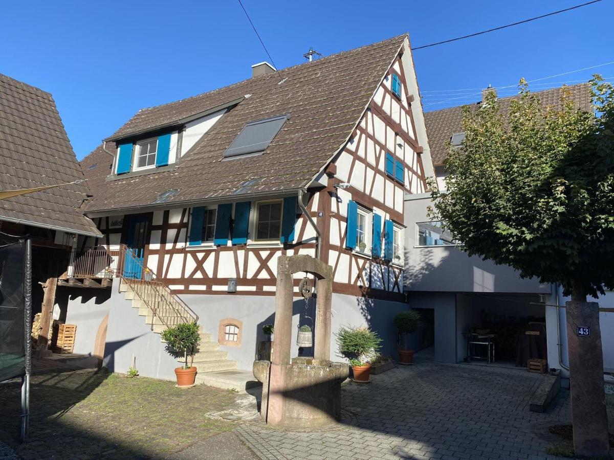 Traumhaft Wohnen Im Haus Blum Apartment Herbolzheim Exterior photo